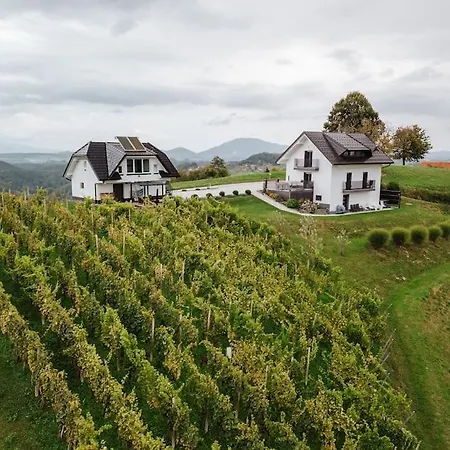 Vineyard House With Sauna And Jacuzzi For 2 * Gorica pri Slivnici